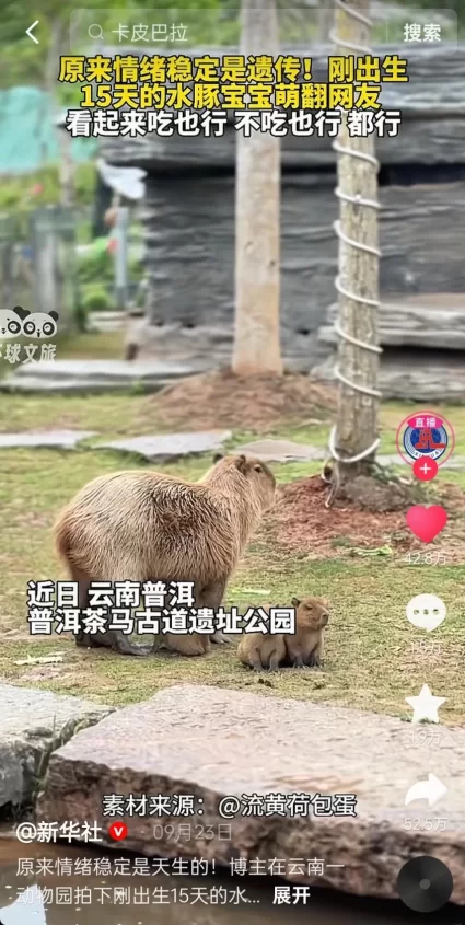 “聪明游”如何提供旅游新体验?(图8) “聪明游”如何提供旅游新体验?(图8)