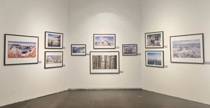 林海雪韵映山城 南北文旅谱新篇——“大美伊春·魅力丰林”冬季风光摄影作品展重庆启幕(图4) 林海雪韵映山城 南北文旅谱新篇——“大美伊春·魅力丰林”冬季风光摄影作品展重庆启幕(图4)