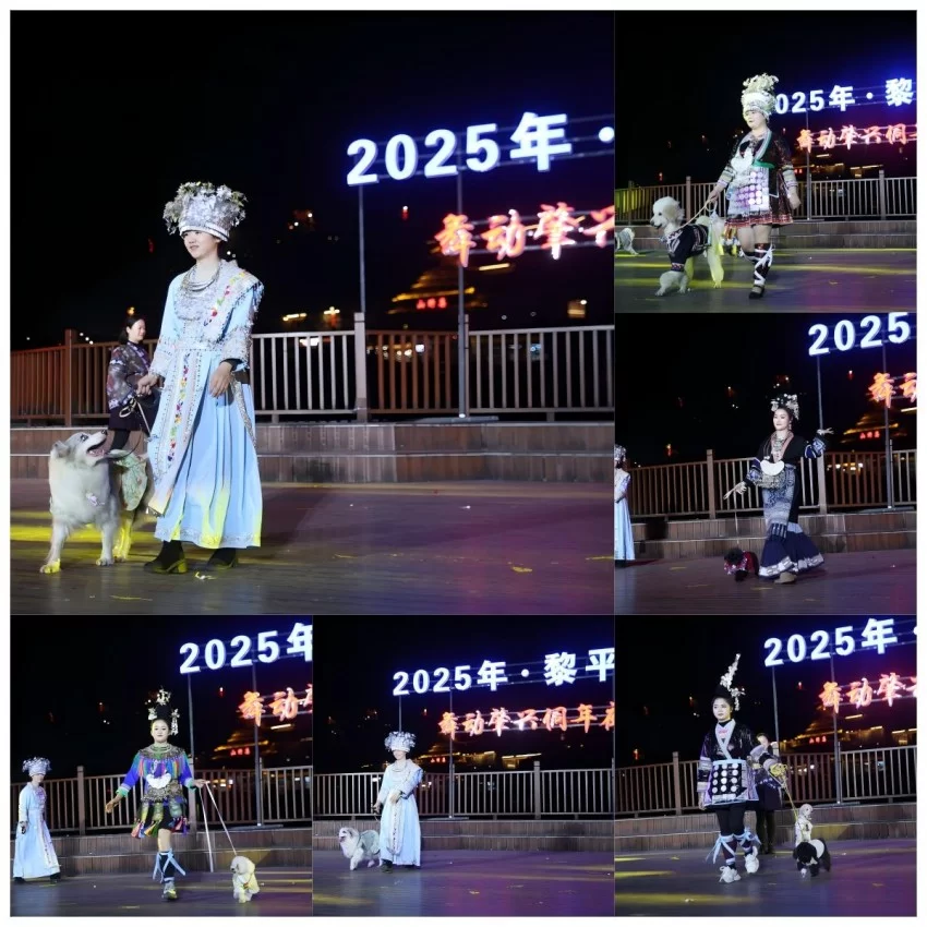 第二届气候变化与旅游发展大会在贵州黎平成功召开——共筑“零碳”文旅绿色新生态(图20)