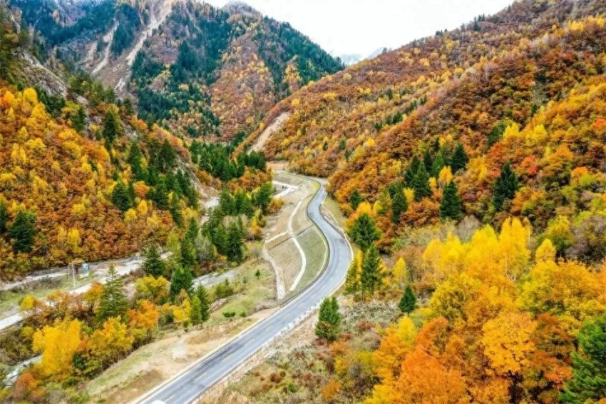 蜀道新颜：四川打造世界级文旅风景道(图1)