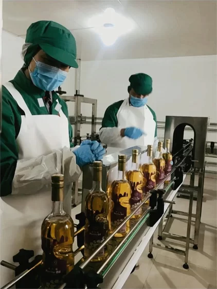 京蒙协作结硕果 鄂伦春获批“中国紫苏之乡”(图3) 京蒙协作结硕果 鄂伦春获批“中国紫苏之乡”(图3)