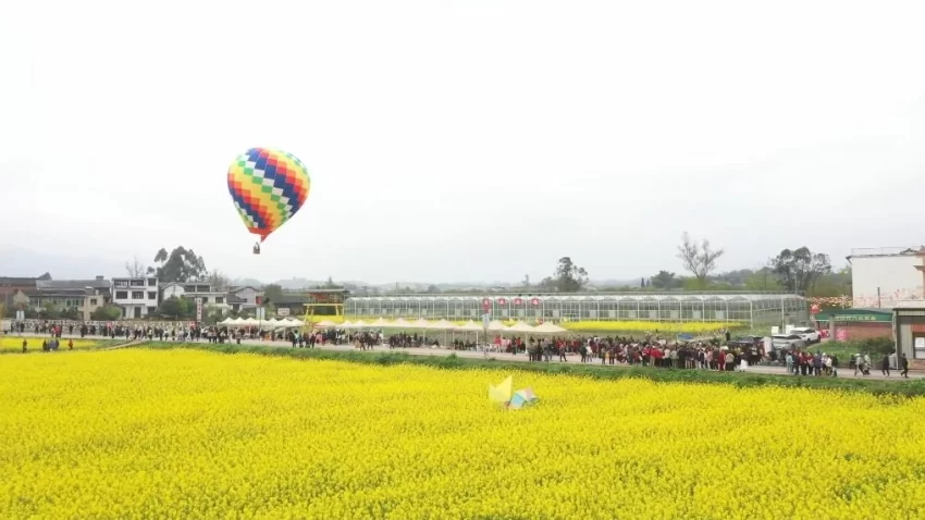 新华视点|春日盛景赋能“花经济” 文旅融合焕发新活力(图8) 新华视点|春日盛景赋能“花经济” 文旅融合焕发新活力(图8)