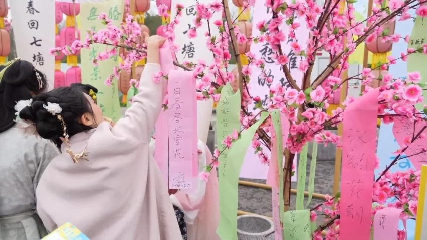 新华视点|春日盛景赋能“花经济” 文旅融合焕发新活力(图10) 新华视点|春日盛景赋能“花经济” 文旅融合焕发新活力(图10)