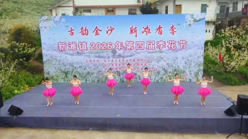 新华视点|春日盛景赋能“花经济” 文旅融合焕发新活力(图15) 新华视点|春日盛景赋能“花经济” 文旅融合焕发新活力(图15)