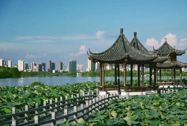  生活随笔｜包惠僧的悔悟人生(图2)