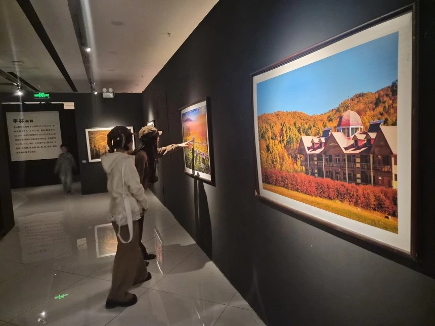 秋韵染林海 光影赴冰城——“大美伊春·魅力丰林”四季风光摄影展哈尔滨站启幕(图2)