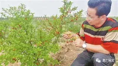 另类治沙英雄——侧记榆林的科技治沙人(图4)