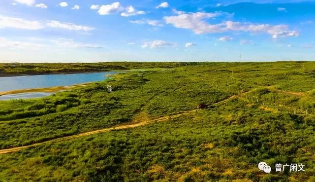另类治沙英雄——侧记榆林的科技治沙人(图1) 另类治沙英雄——侧记榆林的科技治沙人(图1)