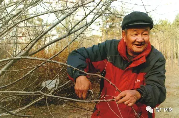另类治沙英雄——侧记榆林的科技治沙人(图3)