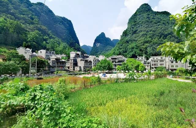 走进新时代 喜看壮乡美(图9) 走进新时代 喜看壮乡美(图9)