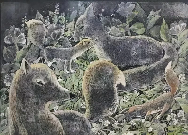 2021自然与艺术——保护生物多样性全国名家艺术邀请展在昆明举办(图12) 2021自然与艺术——保护生物多样性全国名家艺术邀请展在昆明举办(图12)