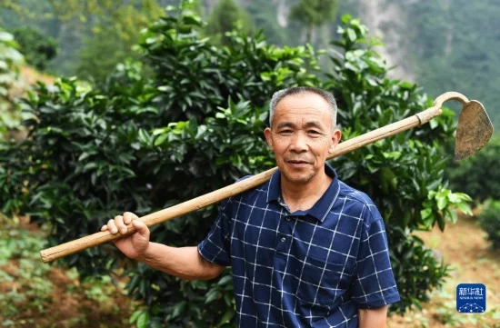 上下同心,尽锐出战——脱贫攻坚精神述评(图6) 上下同心,尽锐出战——脱贫攻坚精神述评(图6)