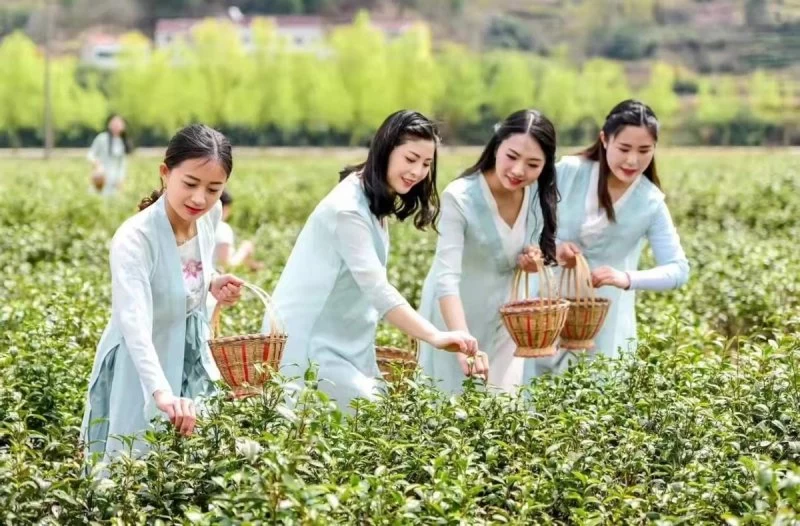 湖北黄冈:加大对外宣传 讲好黄冈故事(图3) 湖北黄冈:加大对外宣传 讲好黄冈故事(图3)
