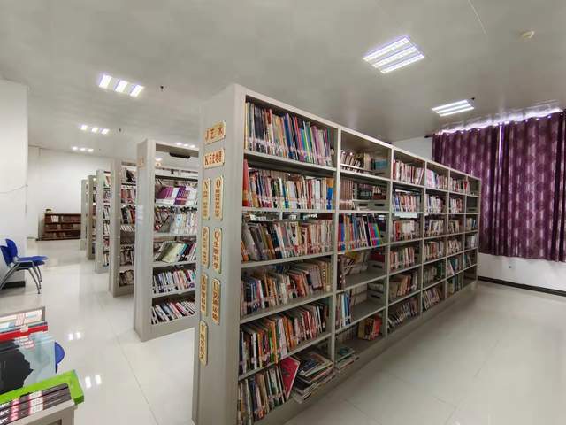 广西来宾：总分馆制和数字化建设并驾齐驱(图1)
